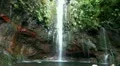Waterfall in jungle 20110426 143129 HD Footage