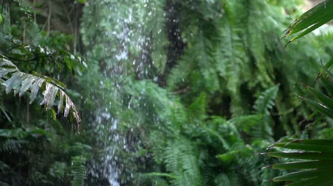 Waterfall in jungle falling in slow motion 库存影片 29904261