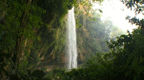 Waterfall jungle Vidéo 725712