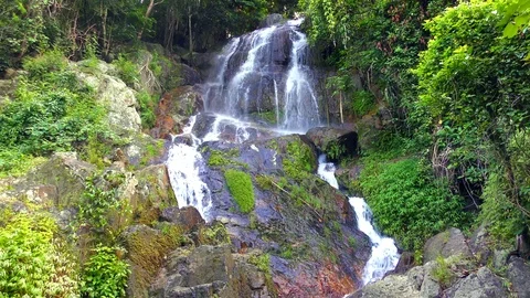 Waterfall in the Jungle Stock Footage 81506667
