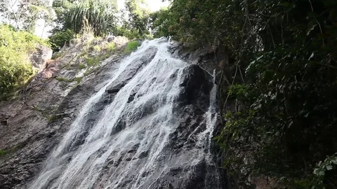 Waterfall in Jungle Stock Footage 104418473