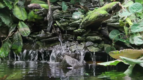 Waterfall in the jungle Stock Footage 106526394