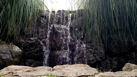 Waterfall in the Jungle Video stock 124536291