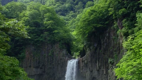 Waterfall in the jungle Stock Footage 137121734