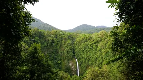 Waterfall in Jungle Stock Footage 172112096