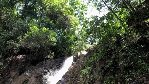 Waterfall in the jungle Stock Footage 197067470