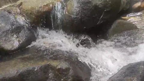 Waterfall at the jungle Stock Footage 205523983
