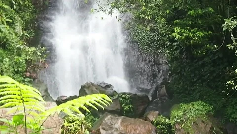 Waterfall in jungle Stock Footage 227359215