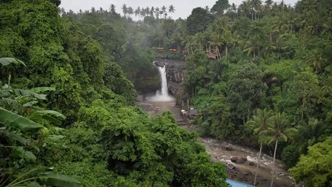 Waterfall in the jungle Video stock 271170849