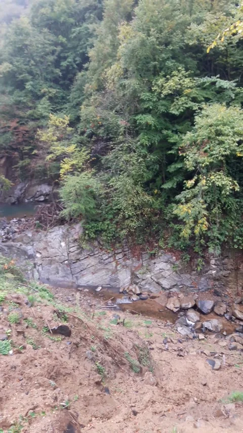 Waterfall into jungle Stock Footage 278513659