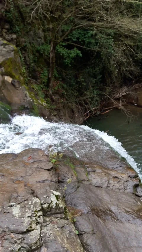 Waterfall into jungle Stock Footage 278514041