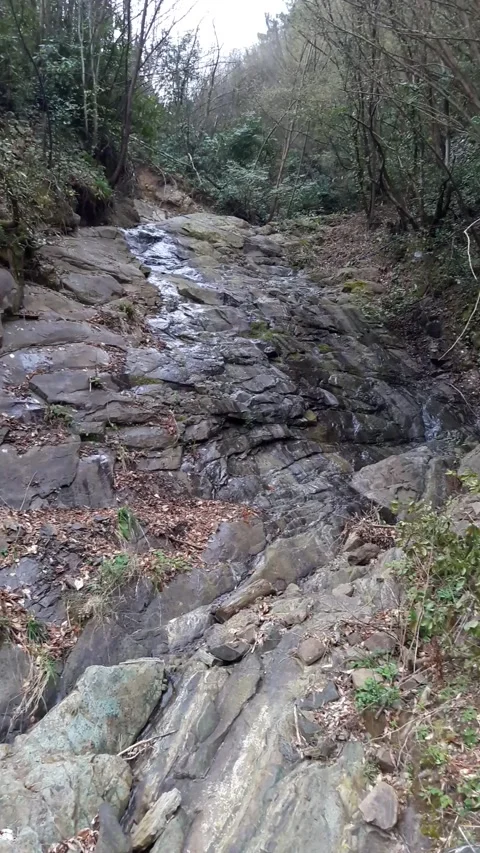 Waterfall into jungle Stock Footage 278514218
