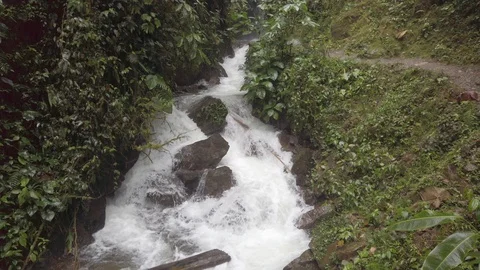 Waterfall in jungle forest at rainy cloudy day in Mindo, Ecuador Video stock 128159114