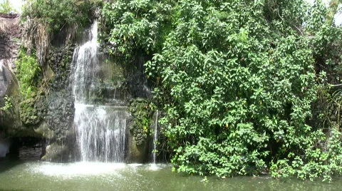 Waterfall jungle HD Stock Footage 79429