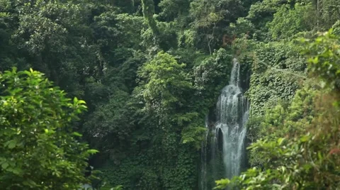 Waterfall  in jungle. Indonesia Stock Footage 44917685
