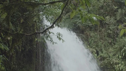 Waterfall jungle Medium shot - uhd 10 bit 4k 스톡 동영상 115885692