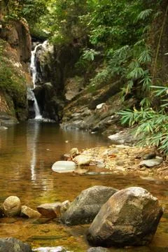 Waterfall in the jungle. Stock Photos