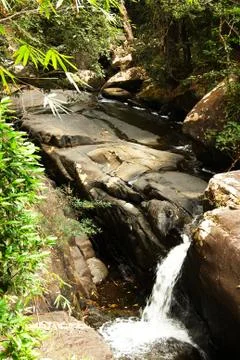 Waterfall in the jungle. Stock Photos
