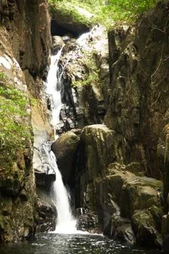 Waterfall in the jungle. Stock Photos