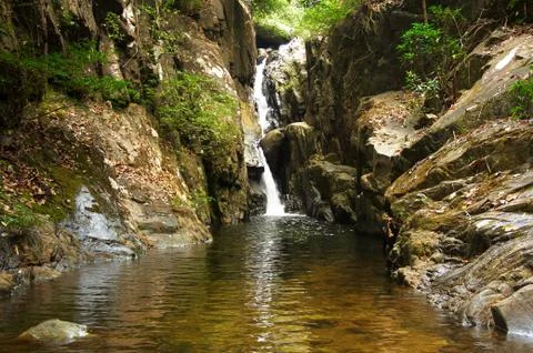 Waterfall in the jungle. Stock Photos