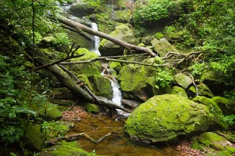 Waterfall in jungle Stock Photos