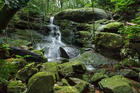 Waterfall in jungle Foto stock