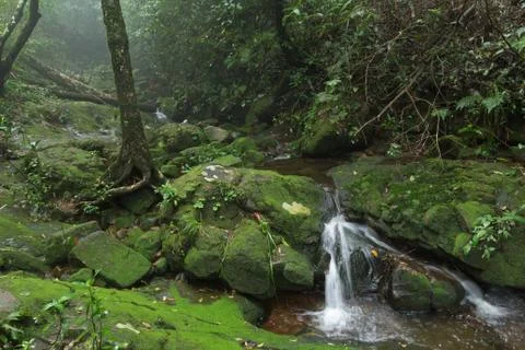 Waterfall in jungle Stock Photos
