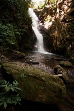 Waterfall in Jungle Stock Photos