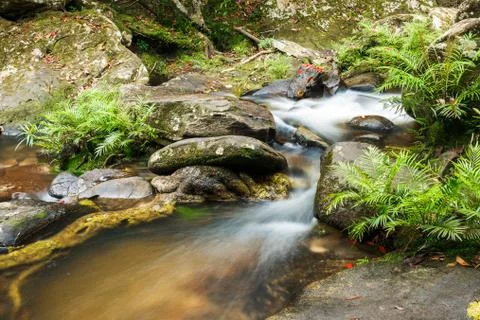 Waterfall in jungle Stock Photos