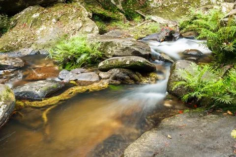 Waterfall in jungle Stock Photos