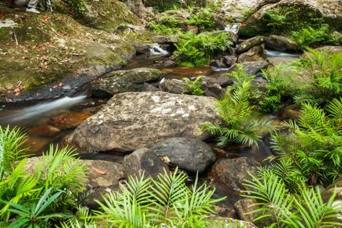 Waterfall in jungle Stock Photos