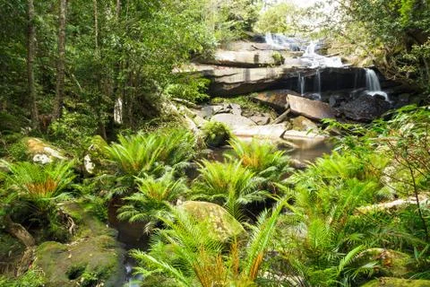 Waterfall in jungle Stock Photos