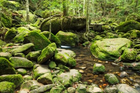 Waterfall in jungle Stock Photos