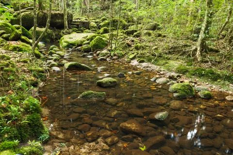 Waterfall in jungle Stock Photos