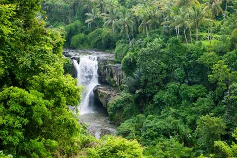 Waterfall in the jungle Stock Photos