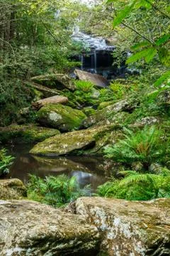 Waterfall in jungle Stock Photos
