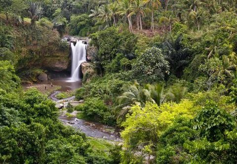 Waterfall in the jungle Stock Photos