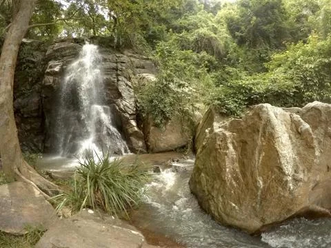 Waterfall in the Jungle Stock Photos