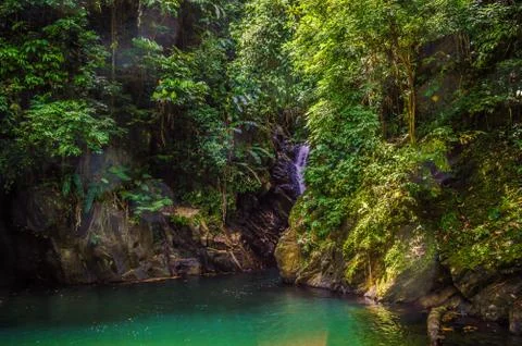 Waterfall in the jungle Stock Photos