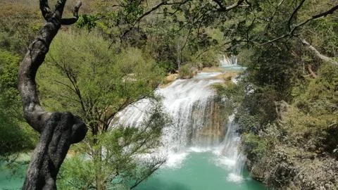 Waterfall in the jungle Stock Photos