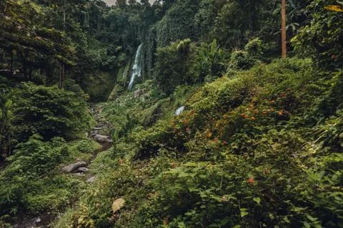 A waterfall in a jungle Stock Photos