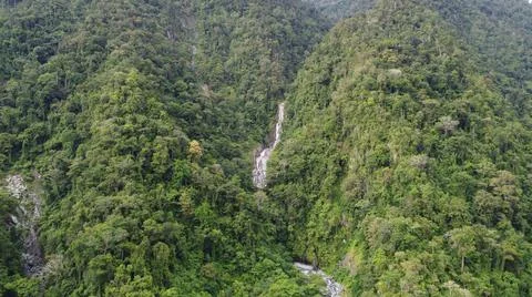 Waterfall in Jungle Stock Photos