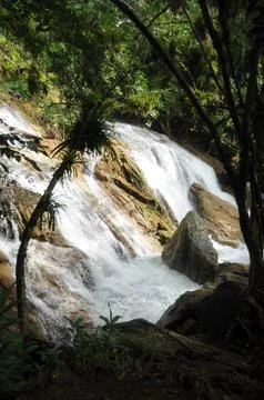 Waterfall in a jungle Foto stock