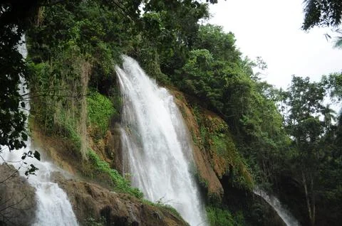 Waterfall in a jungle Foto stock