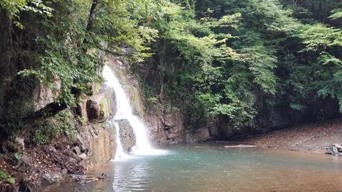 Waterfall into jungle Stock Photos