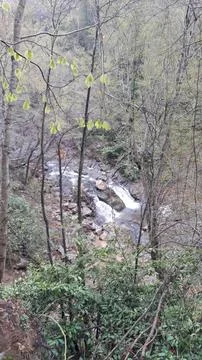 Waterfall into jungle Stock Photos