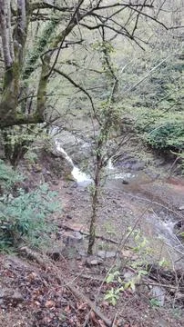 Waterfall into jungle Stock Photos