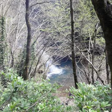 Waterfall into jungle 库存照片