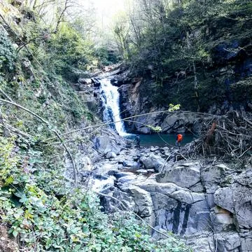 Waterfall into jungle Foto stock