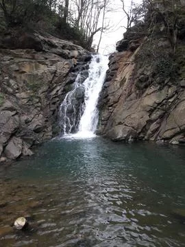 Waterfall into jungle Foto stock